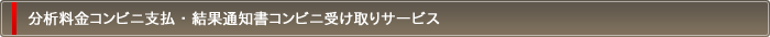 経営状況分析料金コンビニ支払・経営状況結果通知書コンビニ受け取りサービス